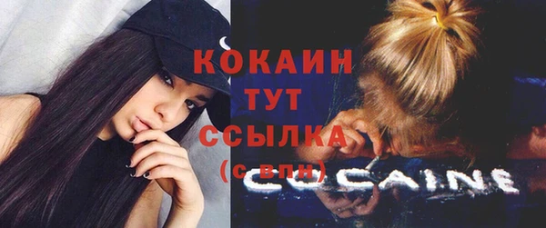 дмт Мегион