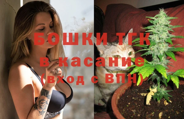 стаф Михайлов