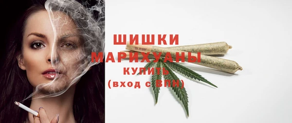 стаф Михайлов