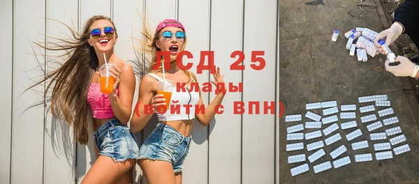 стаф Михайлов
