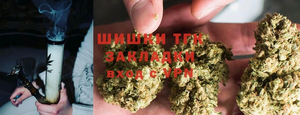 стаф Михайлов