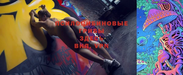 бошки Медногорск