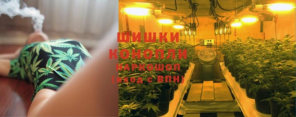 гашик Апатиты
