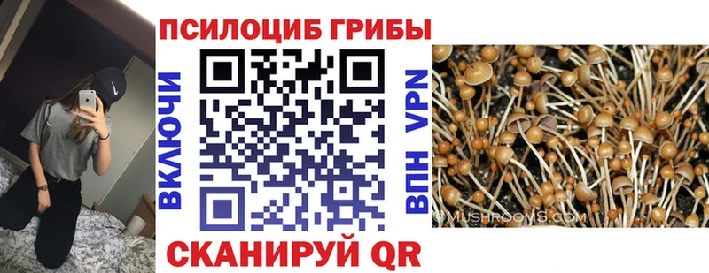 цены наркотик  блэк спрут рабочий сайт  Галлюциногенные грибы Psilocybe  Миньяр 